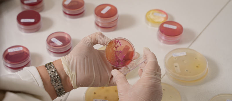 Pathology Department