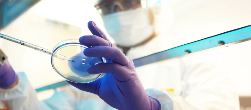 Biomedical Engineering and Maintenance Service